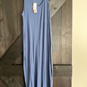 Philosophy Sleeveless Blue Maxi Dress